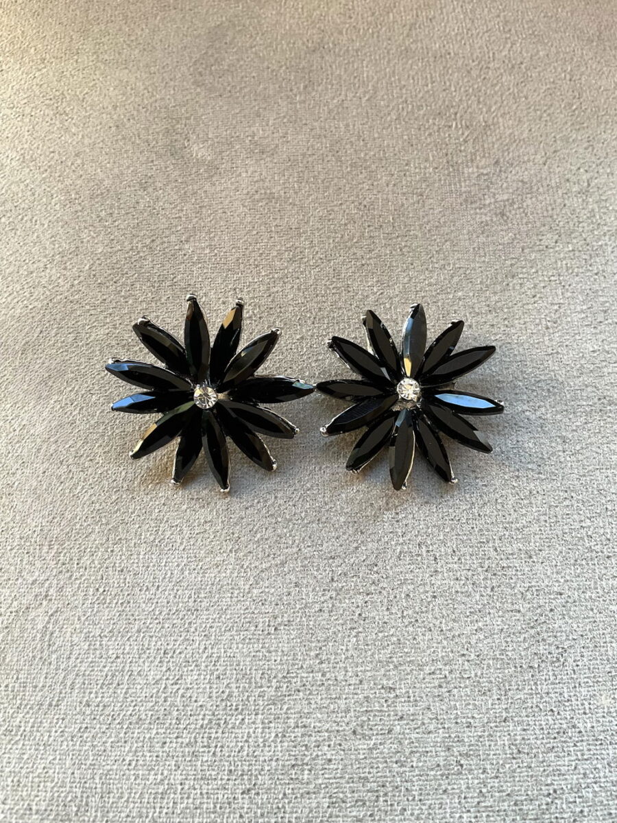 AROS TERRI