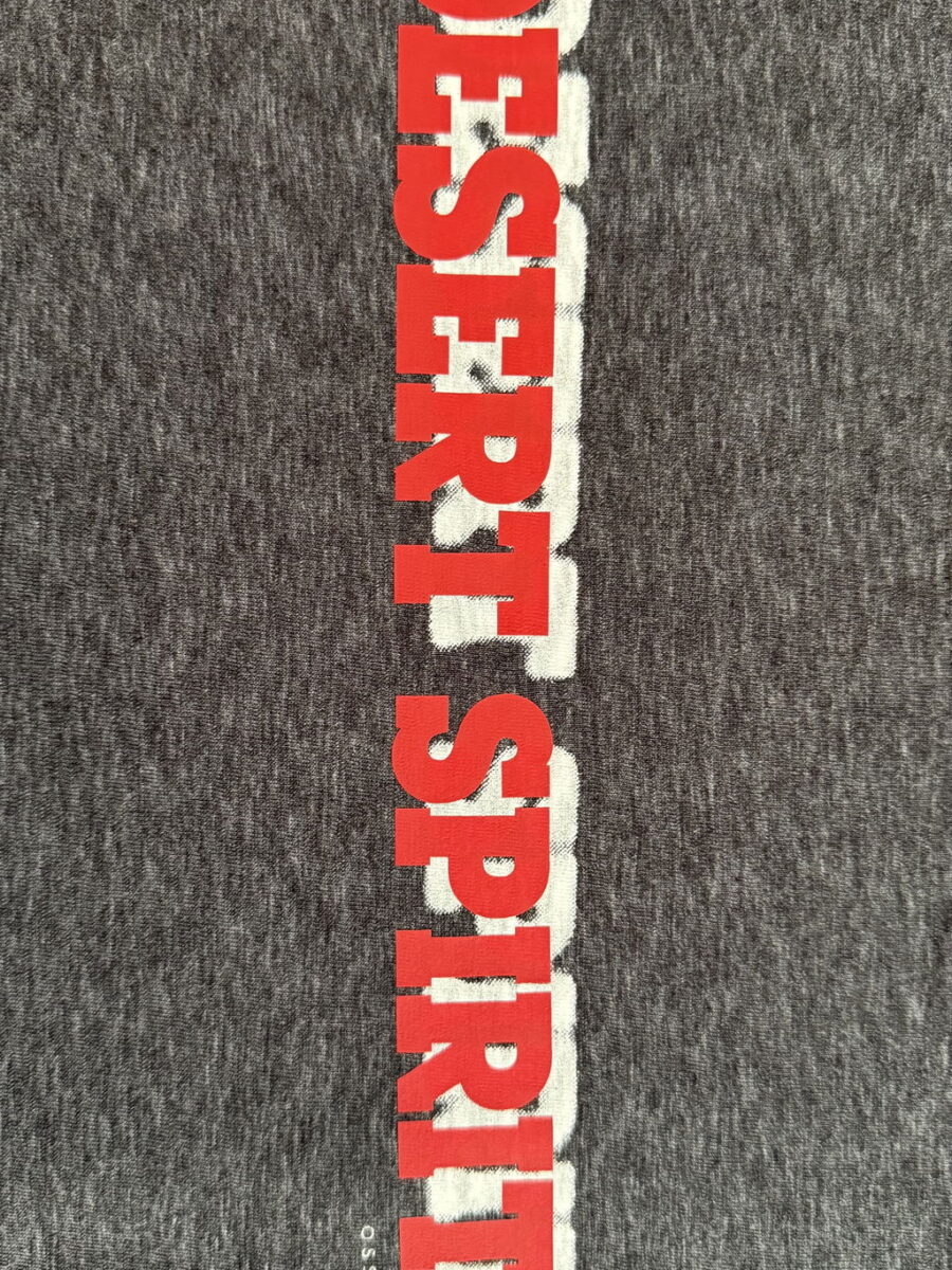 REMERA SPIRIT GRIS